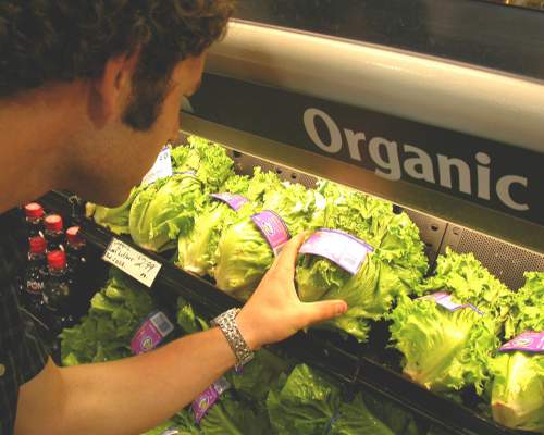 organikus élelmiszer